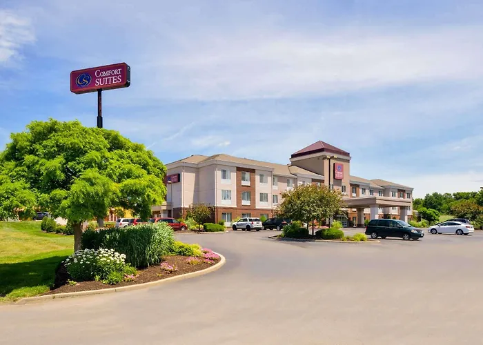 Hotel Comfort Mount Vernon