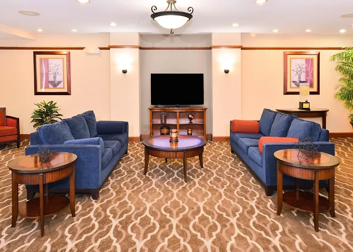 Comfort Hotel