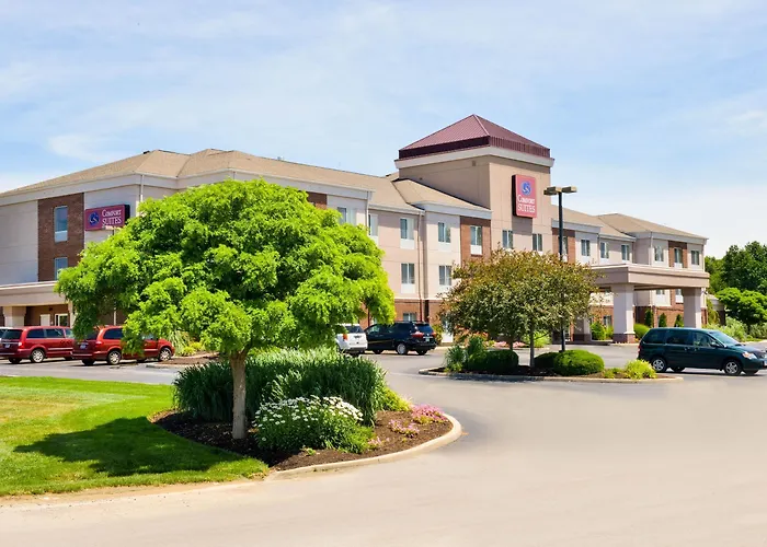 Comfort Hotel