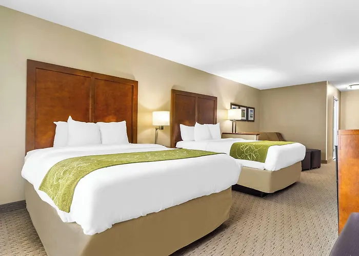 Comfort 4*