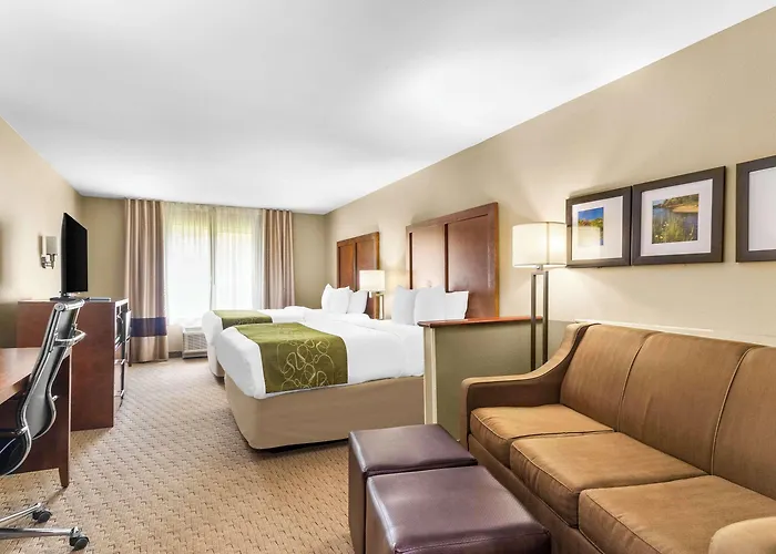 Comfort Hotel