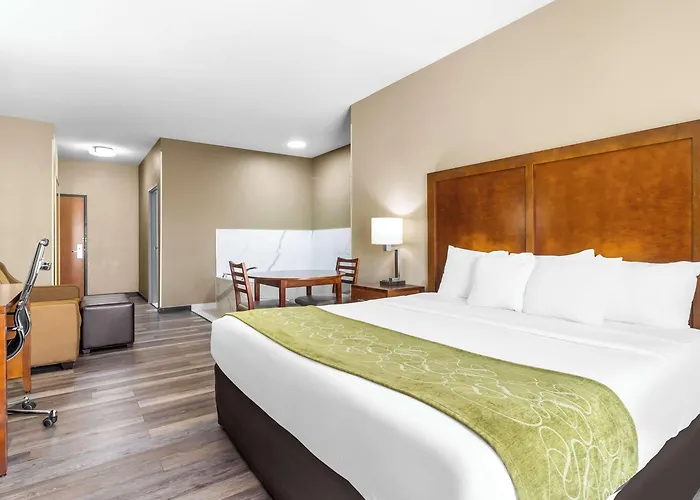 Comfort Hotel