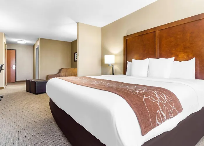 Hotel Comfort 4*