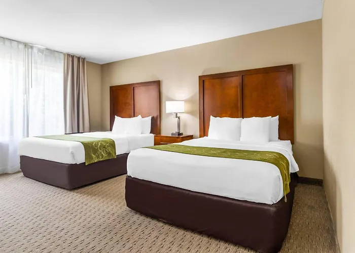 Comfort Hotel Mount Vernon