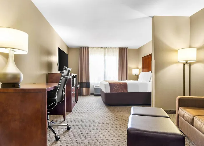 Comfort Hotel